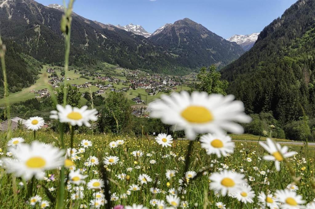 Rudigier Margret Und Franz Apartman Sankt Gallenkirch Kültér fotó